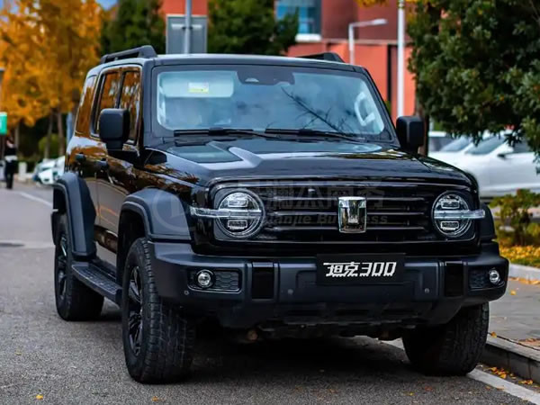 綿陽(yáng)坦克300汽車出租